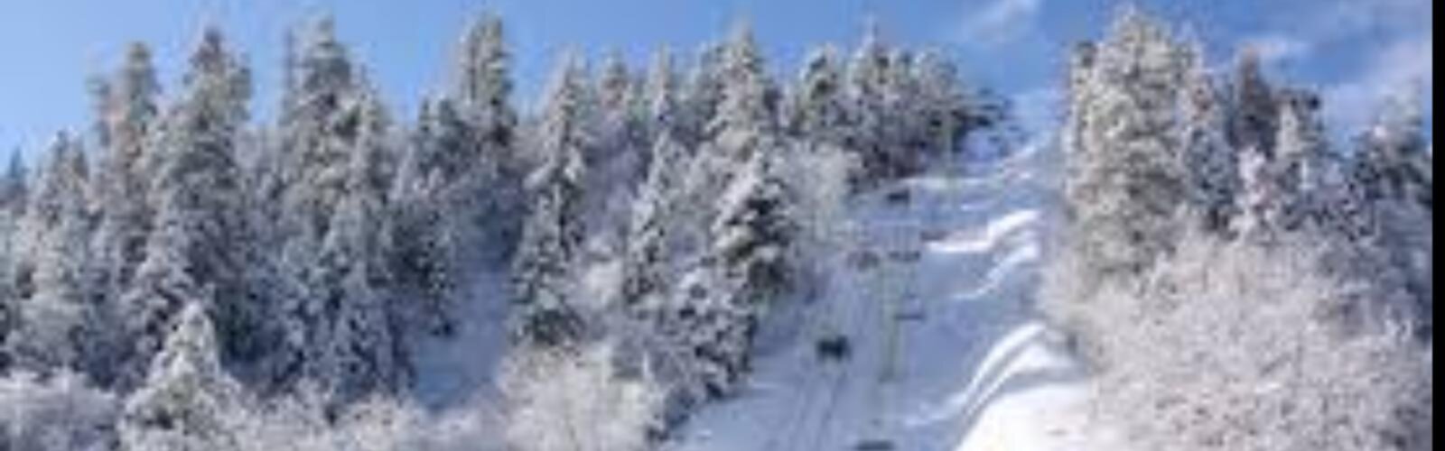 Hiking Mountain High Ski  - panoramic view  tree outdoor snow plant mountain