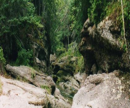 Poley Mountain trail - hiking in Fundy Coast