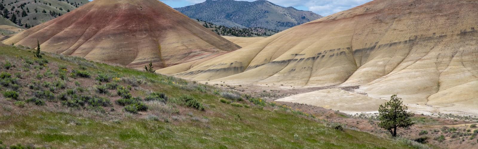 Carroll Rim trail - hiking in Eastern Oregon