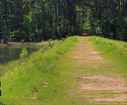 Tyler State park trail - hiking in Piney Woods