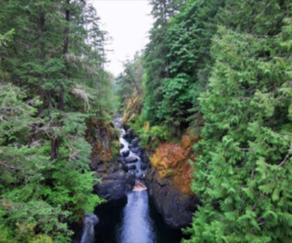 Sentier Englishman River Falls Provincial Park - randonnée en Île de Vancouver