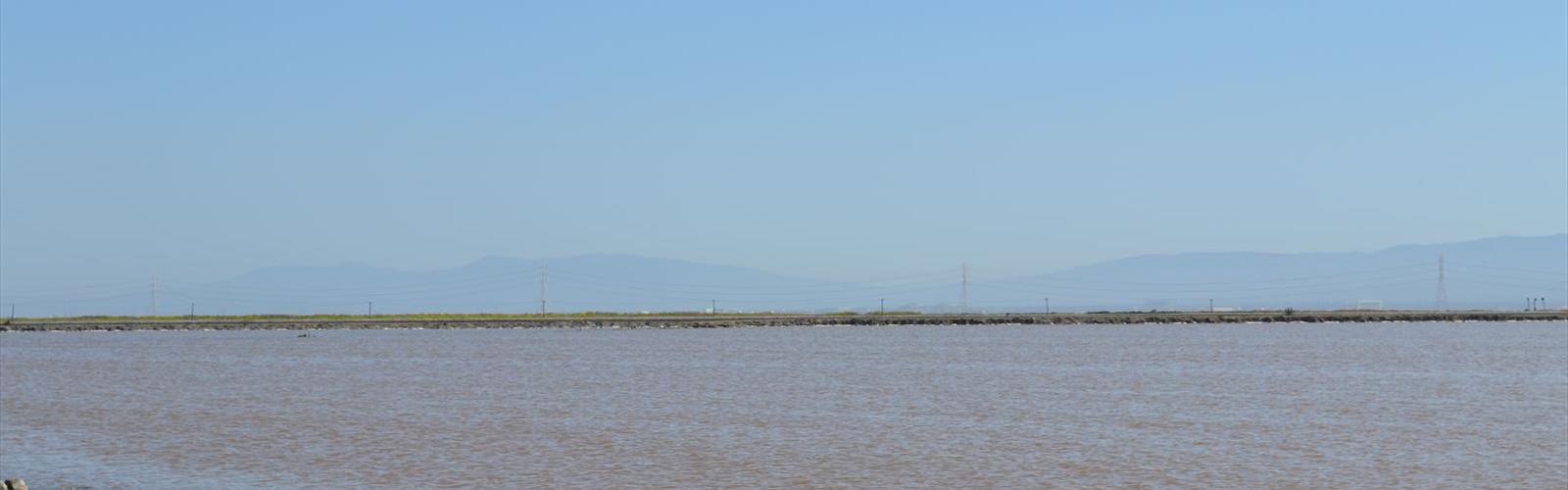 Don Edwards San Francisco Bay National Wildlife Refuge trail - hiking in Bay Area