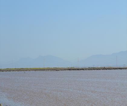 Don Edwards San Francisco Bay National Wildlife Refuge trail - hiking in Bay Area