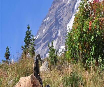 Skyline Trail trail - hiking in South Shore