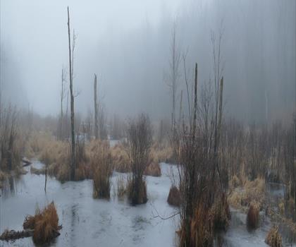 Wawayanda Lake trail - hiking in Skylands Region