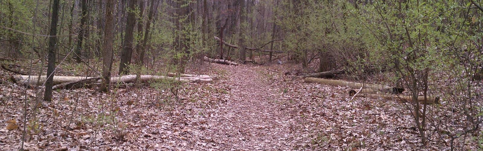 Potawatomi Trail, Michigan