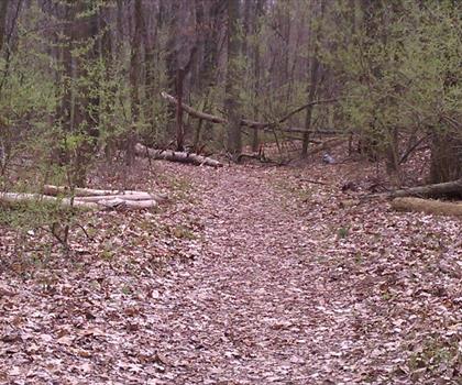 Sentier sentier Potawatomi - randonnée en Southeast Lower Peninsula