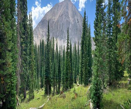 Mount Peale trail - hiking in Southern Utah