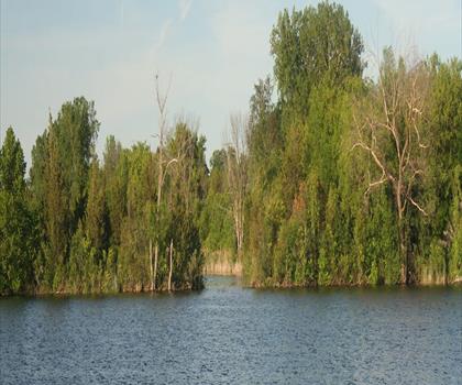 Sentier Trent River - randonnée en Île de Vancouver