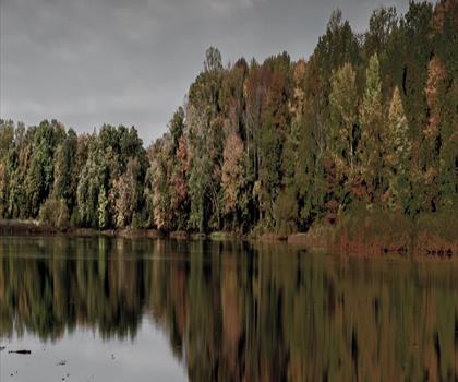 Sentier lac Farrington - randonnée en Centre du New Jersey