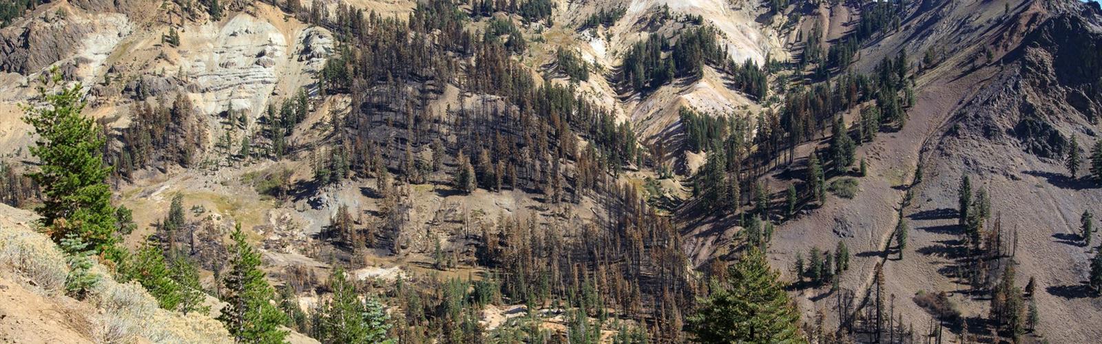 Sulphur Works trail - hiking in Shasta Cascade