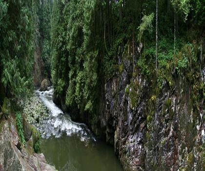 Capilano River Regional Park trail - hiking in Vancouver Coast Mountains