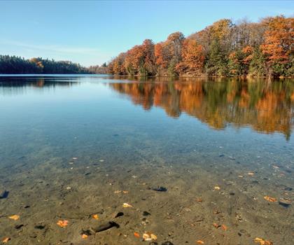 Bond Lake trail - hiking in York, Durham and Headwaters