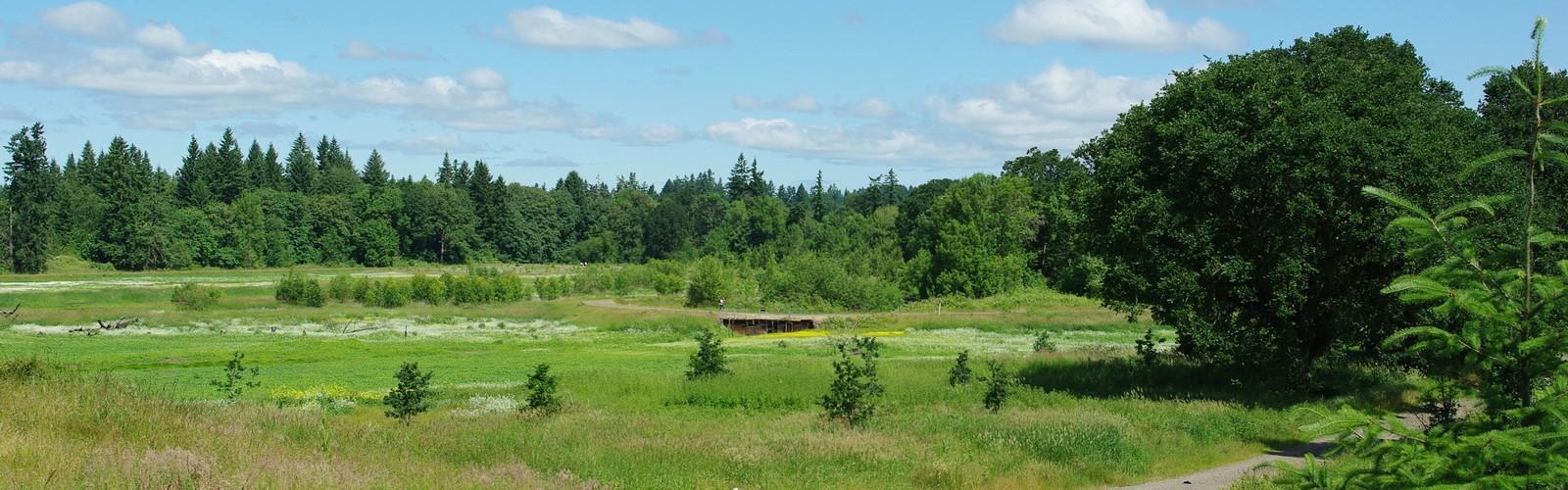 Tualatin River National Wildlife Refuge trail - hiking in Portland Region