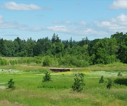 Tualatin River National Wildlife Refuge trail - hiking in Portland Region