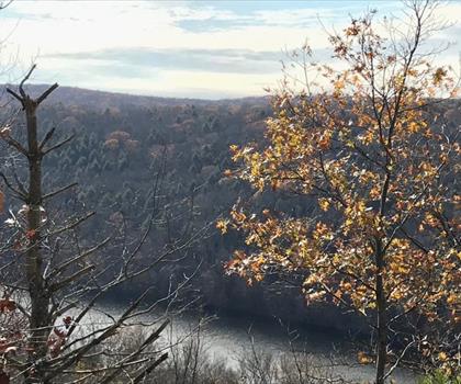 Zoar Trail trail - hiking in Western Connecticut