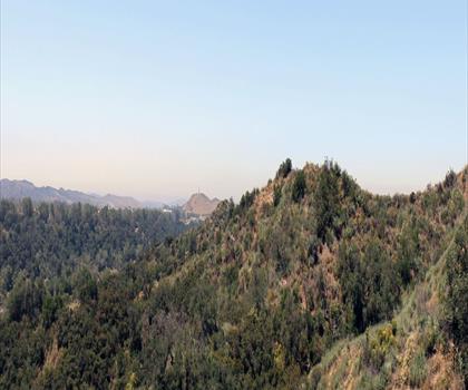 O'Neill Regional Park trail - hiking in Orange County