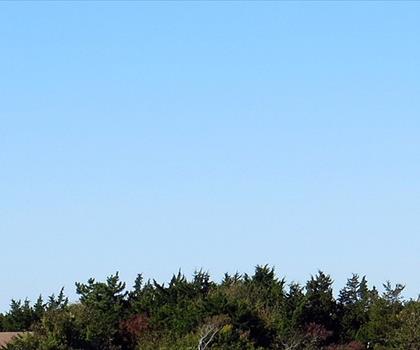 Cape May Point State Park trail - hiking in Southern New Jersey