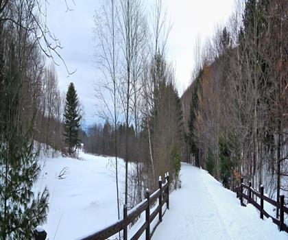 Sentier sentier Ashuwillticook Rail - randonnée en Les Berkshires