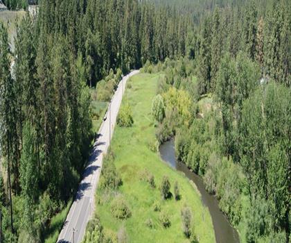 Sentier Little Spokane River - randonnée en Plateau de Columbia