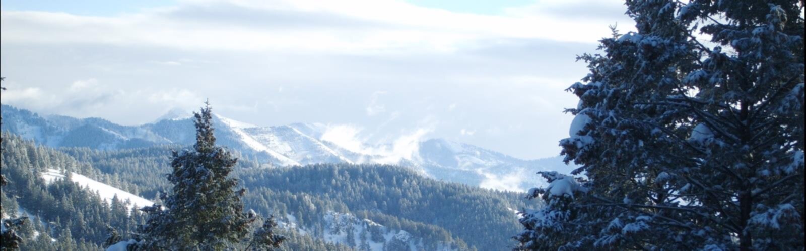 Hiking Kelly Canyon - panoramic view  outdoor snow tree sky mountain skiing nature conifer cloud covered slope hill forest hillside Christmas tree plant araucaria tree