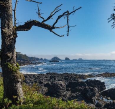 Hiking Vancouver Island - Top 10 best trails in 2024