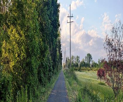 union transportation trail trail - hiking in Northern New Jersey