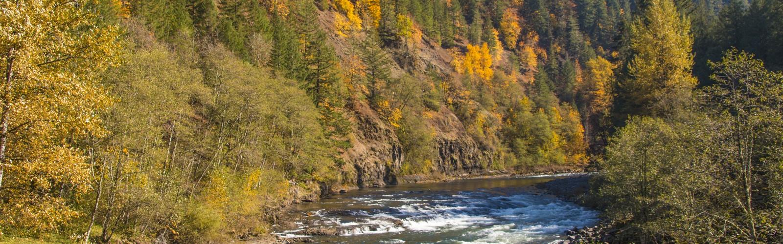 Clackamas River trail - hiking in Central Oregon