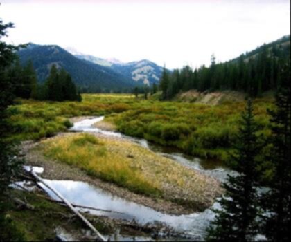 Wyoming Range Trail trail - hiking in Cheyenne & Southeast  mountain tree outdoor sky nature landscape plant forest pasture distance highland