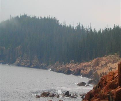 Schoodic Mountain trail - hiking in Down East & Acadia