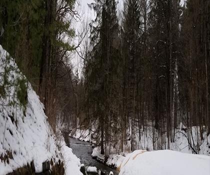 Geyser Creek Trail trail - hiking in Capital-Saratoga