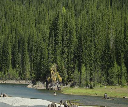 Bedwell Lake trail - hiking in Vancouver Island