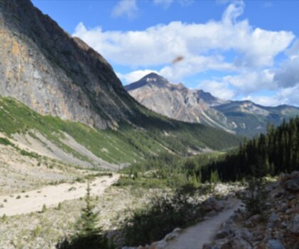 Mount Edith Cavell trail - hiking in Canadian Rockies