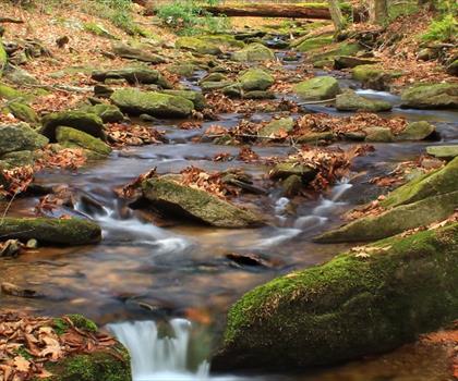 Chuck Keiper Trail trail - hiking in Pennsylvania Dutch Country