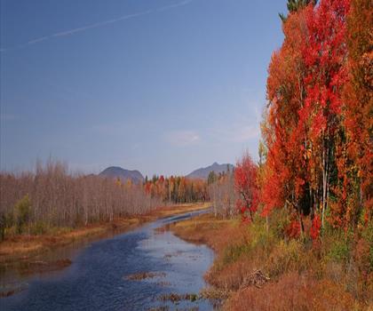 Fawn Lake trail - hiking in Adirondacks