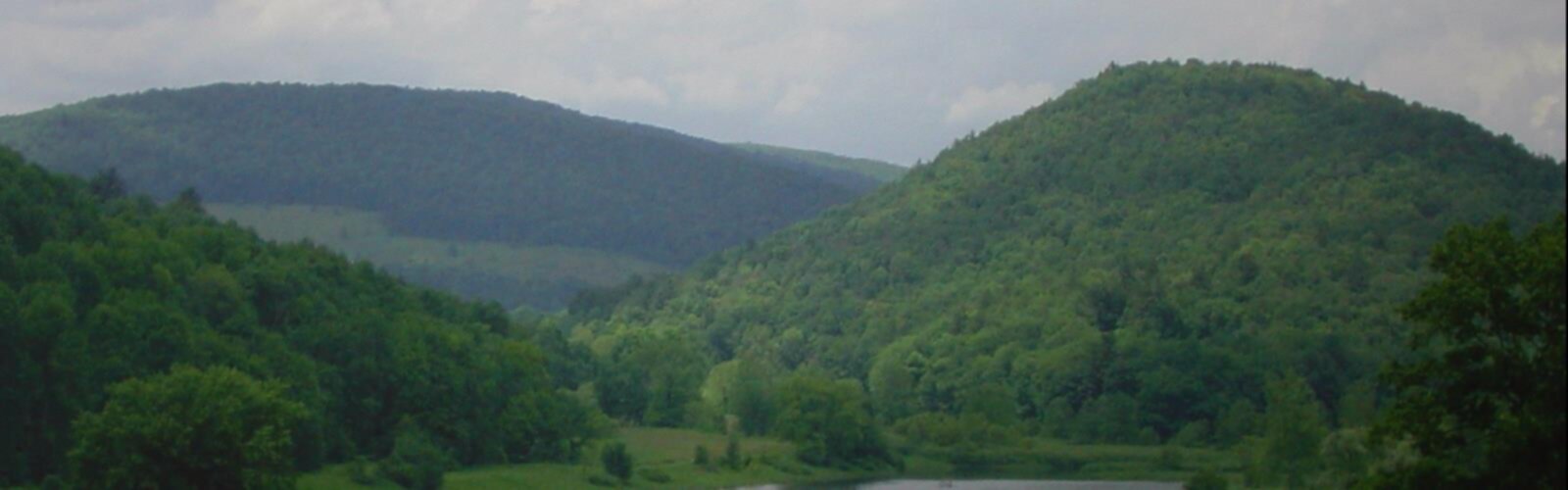 Hiking Delaware River - panoramic view  tree outdoor mountain sky nature cloud fog river hill station highland forest surrounded lush