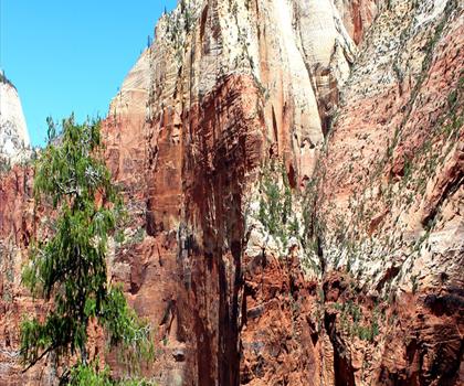 Emerald Pools Trail trail - hiking in Southern Utah