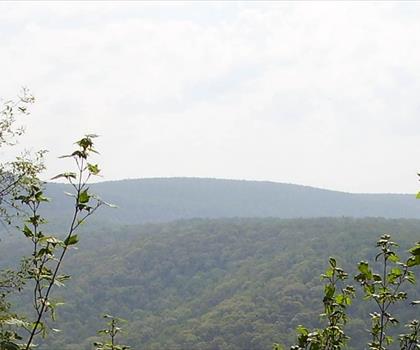 Lost Turkey Trail trail - hiking in Pennsylvania Dutch Country