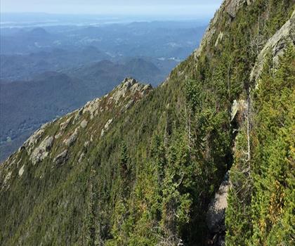 Sentier Sunset Ridge Trail - randonnée en Vermont Central