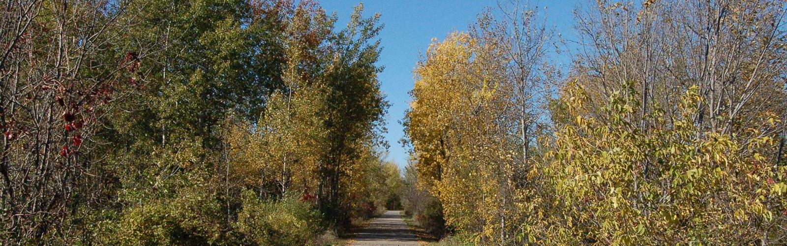Sentier sentier Victoria Rail - randonnée en Kawarthas Northumberland