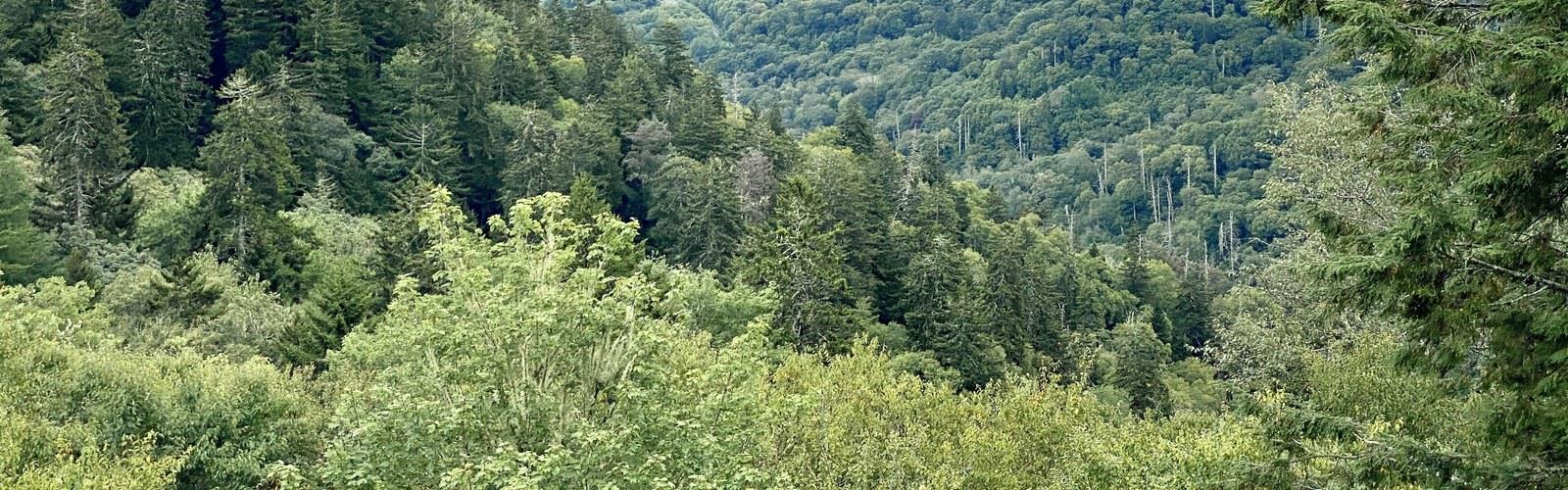 Smoky Mountains trail - hiking in Mountains