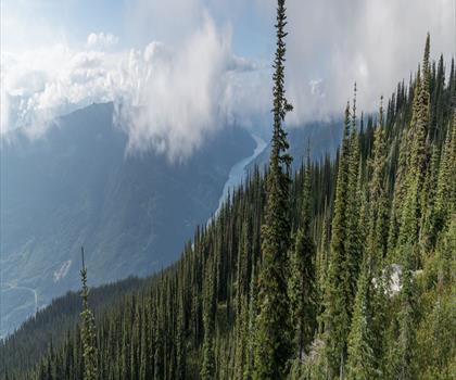 Miller Lake trail - hiking in Kootenay Rockies