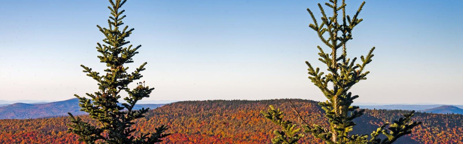 Sentier mont West - randonnée en Vallée de l'Hudson