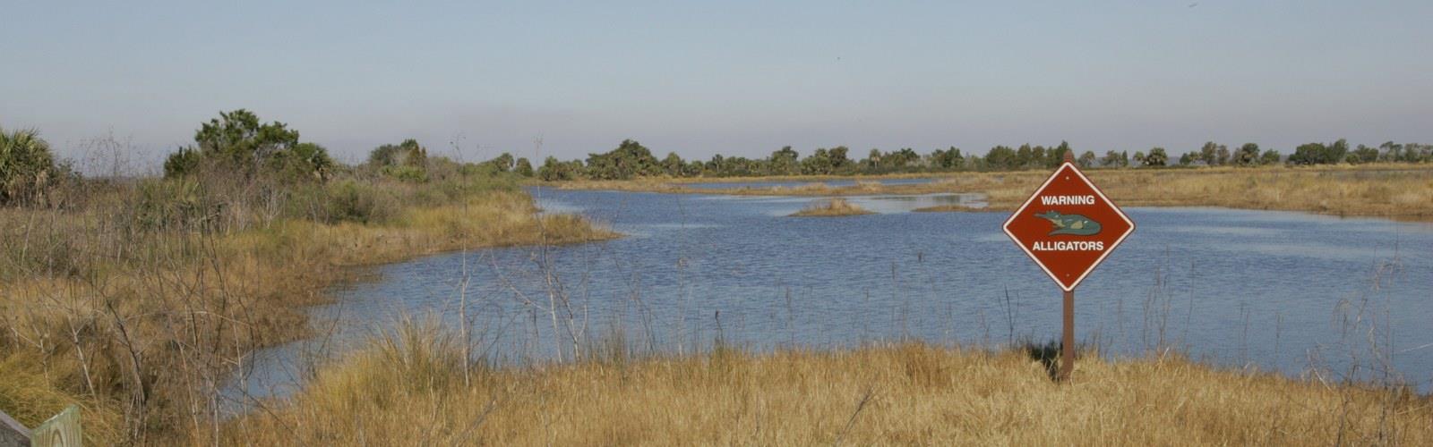 St. Marks National Wildlife Refuge trail - hiking in North Central Florida