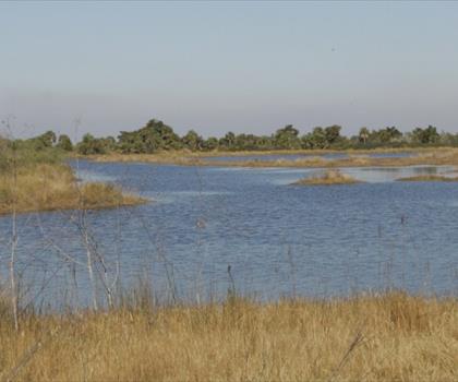 St. Marks National Wildlife Refuge trail - hiking in North Central Florida