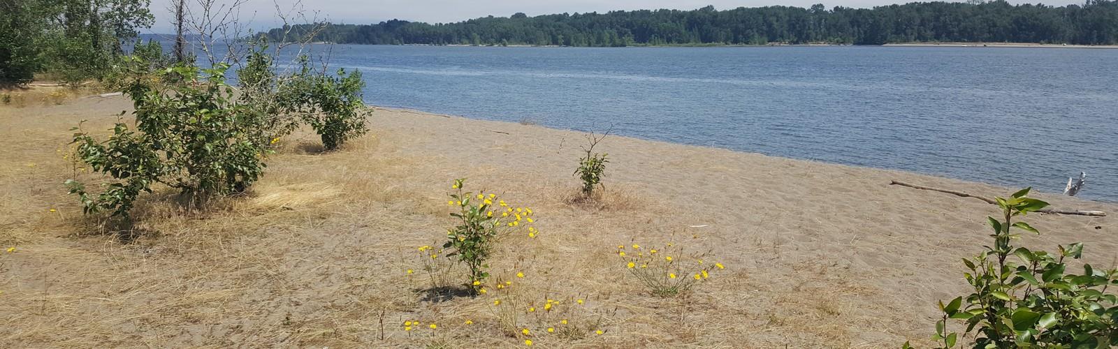 Sauvie Island trail - hiking in Portland Region