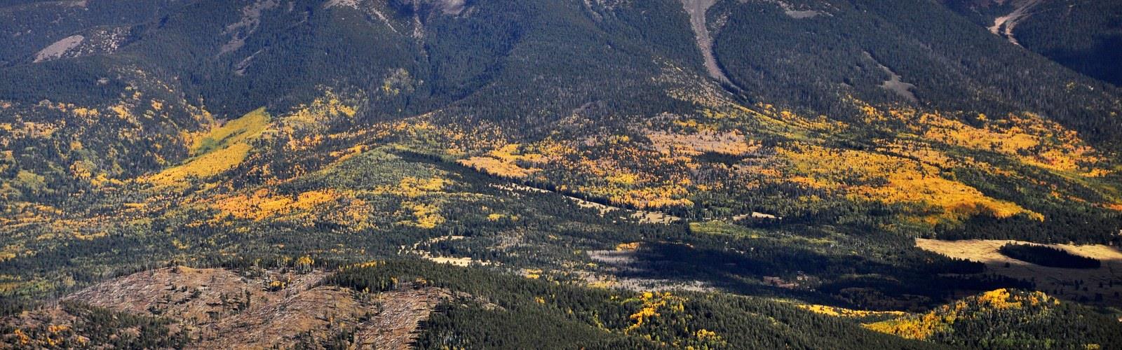 Kendrick Peak trail - hiking in Northern Arizona