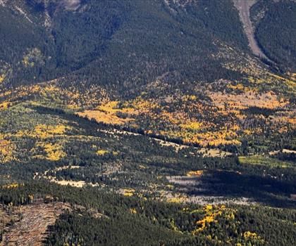 Kendrick Peak trail - hiking in Northern Arizona