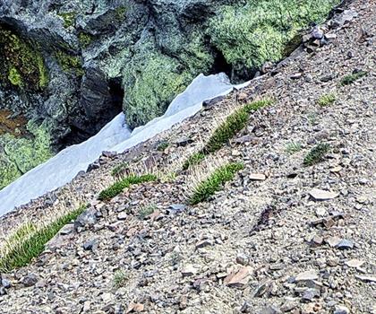 Doyle Peak trail - hiking in Northern Arizona