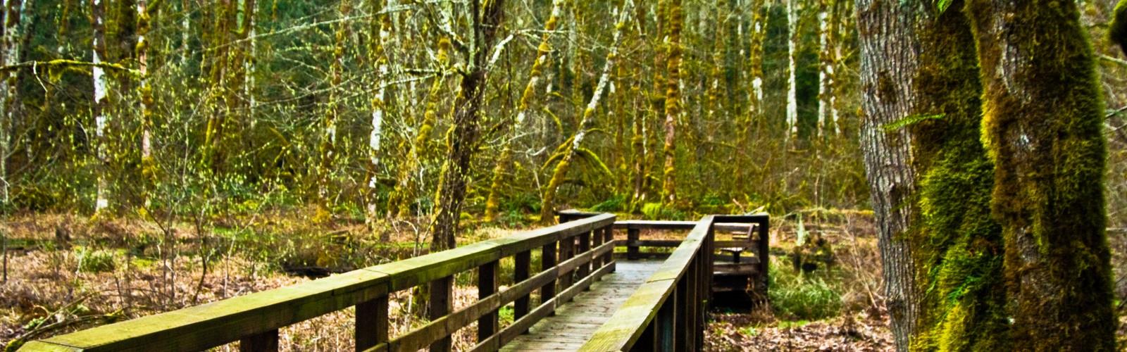 Wildwood Recreation  trail - hiking in Mt. Hood & Columbia River Gorge